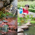 4 images 1 mot 6 lettres niveau jardin 1